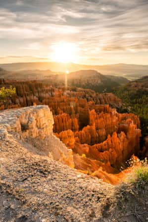 An expansive canyon featuring hoodoos in shades of orange.